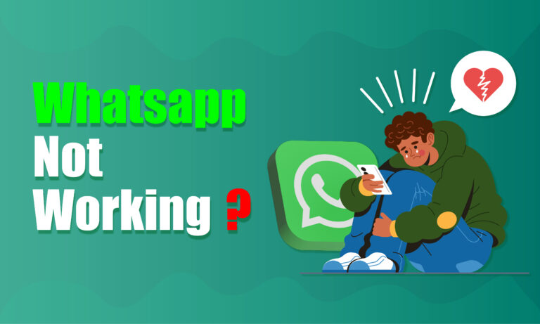 whatsapp not working